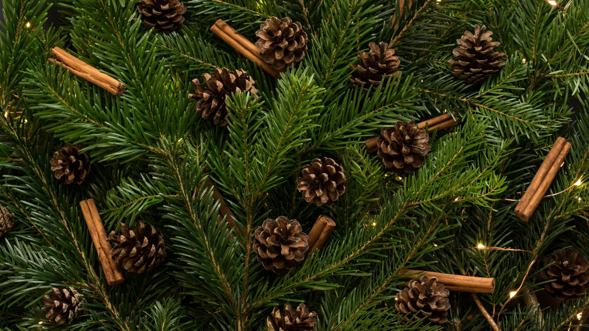 Luxurious Silk Gift Ideas for the Holiday Season