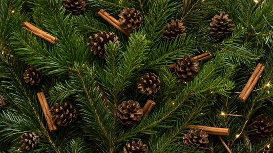 Luxurious Silk Gift Ideas for the Holiday Season