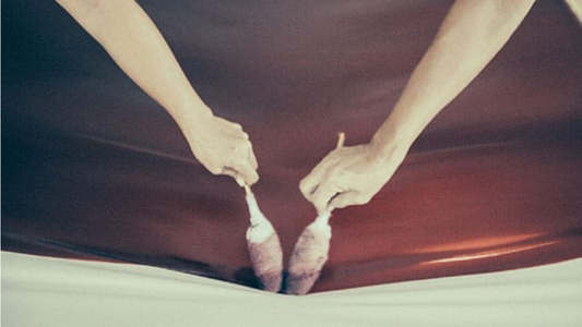 Collaboration With Quarzia