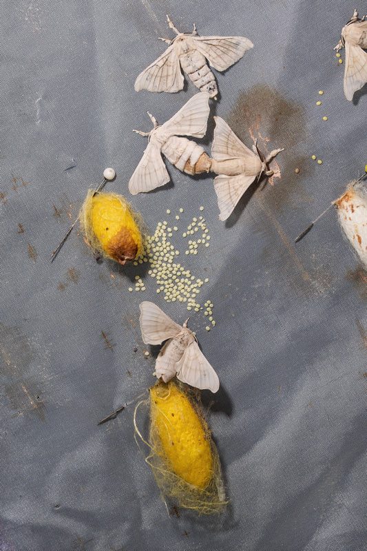 Luxury Gifting in 2025: How Sustainability & Storytelling Elevate Silk Beyond the Pretty